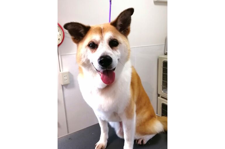 IMG_20200526_125856_copy_692x939