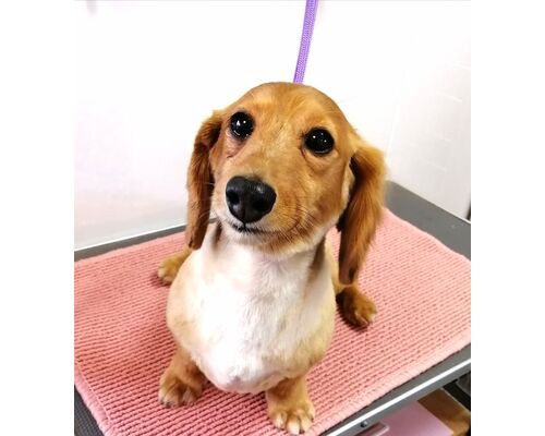 IMG_20200627_154313_copy_768x843