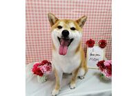 IMG_20210501_214633 (1)